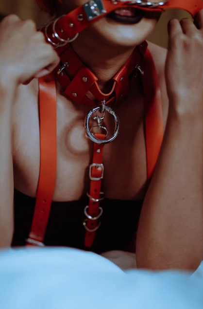 Chokers, Leashes & Collars