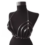 Black Body Harness Set