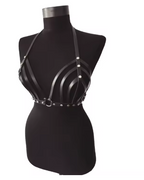 Black Body Harness Set